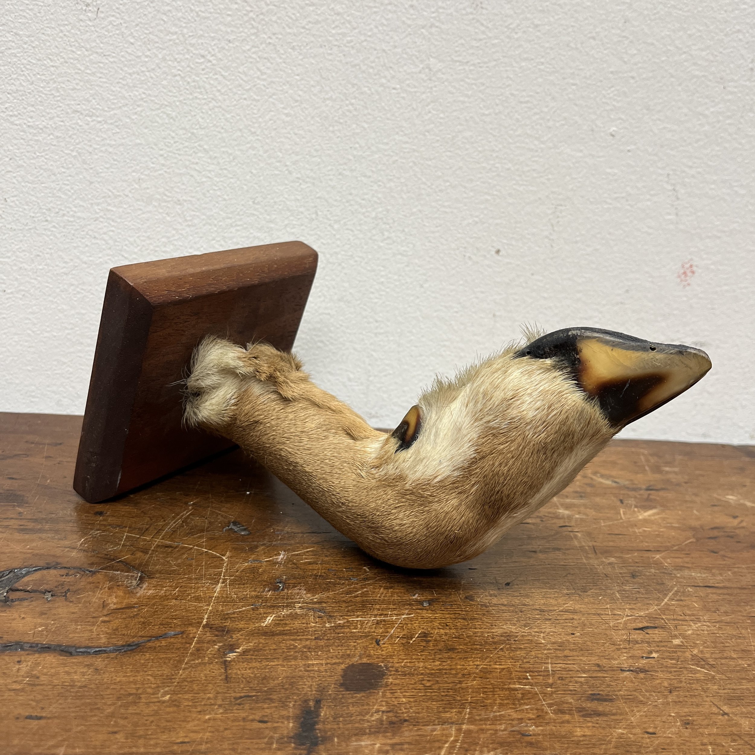 Deer Hoof Hanger - $10