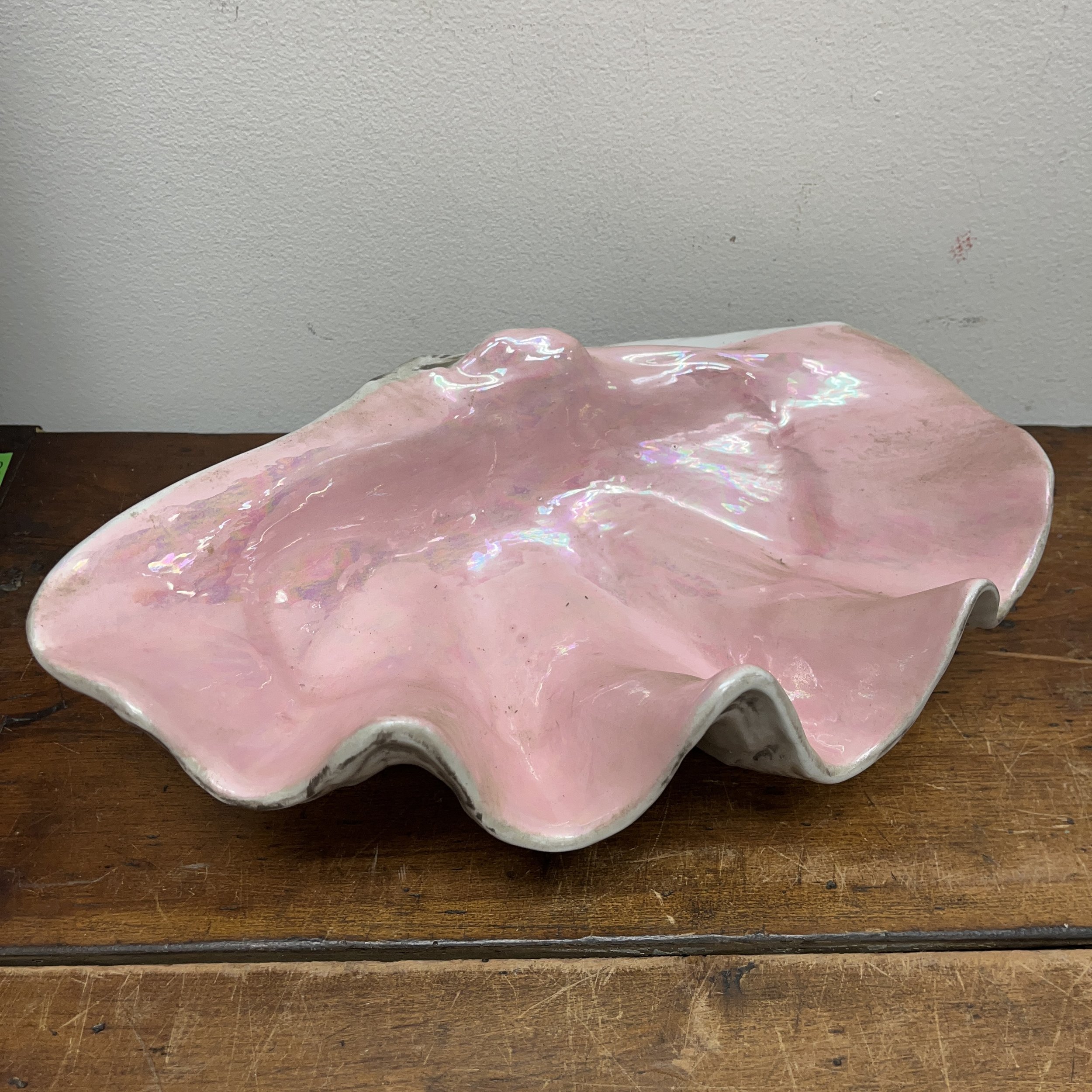 Large Seashell - $10