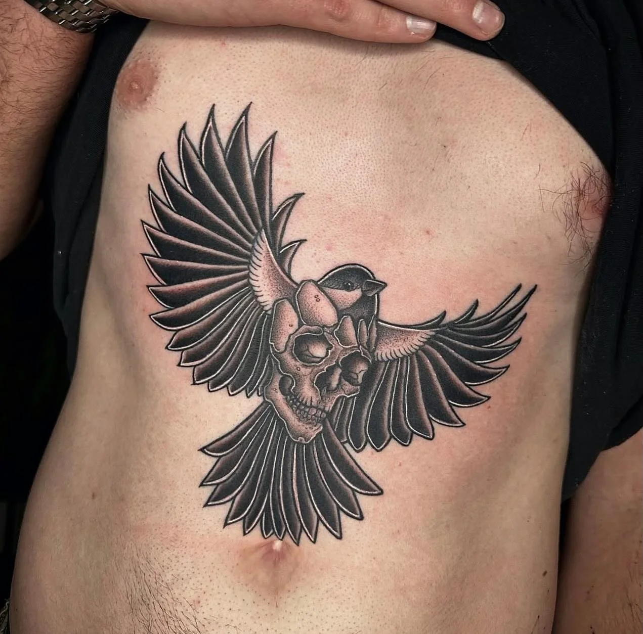 Birds are cool.
Here&rsquo;s a few I&rsquo;ve tattooed over the years. I&rsquo;ve always enjoyed doing them and just kinda love birds in general.
I couldn&rsquo;t fit them all but going through my page and thinking about how many I&rsquo;ve done is k