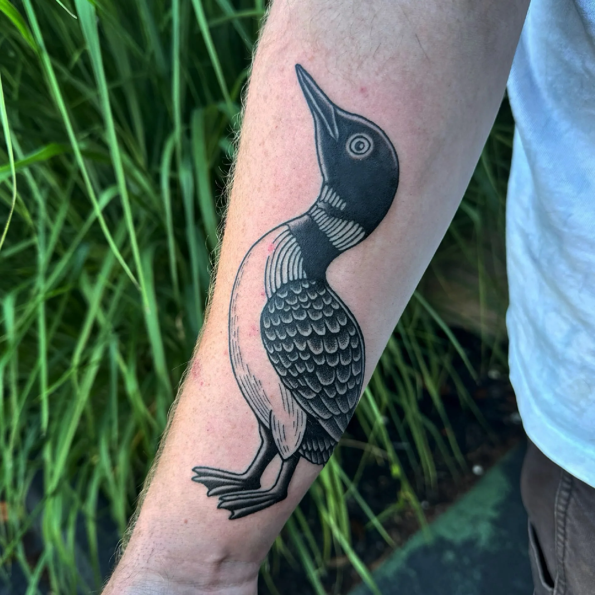 Loon for my buddy Dylan. 
A lot of people think loons are ducks or related to them but they are more closely related to penguins. Their bones are not hollow like a duck so they&rsquo;re able to dive a lot deeper. 
They can also not walk on land which