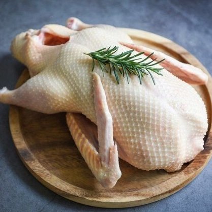 Premium+Photo+_+Raw+duck+with+herb+spices+ready+to+cook%2C+Fresh+duck+meat+on+wooden+tray+for+food%2C+Whole+duck.jpg