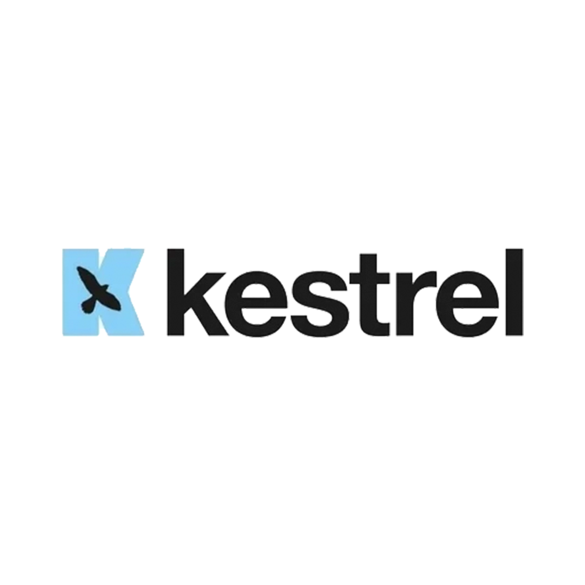 Kestrel.jpg.png