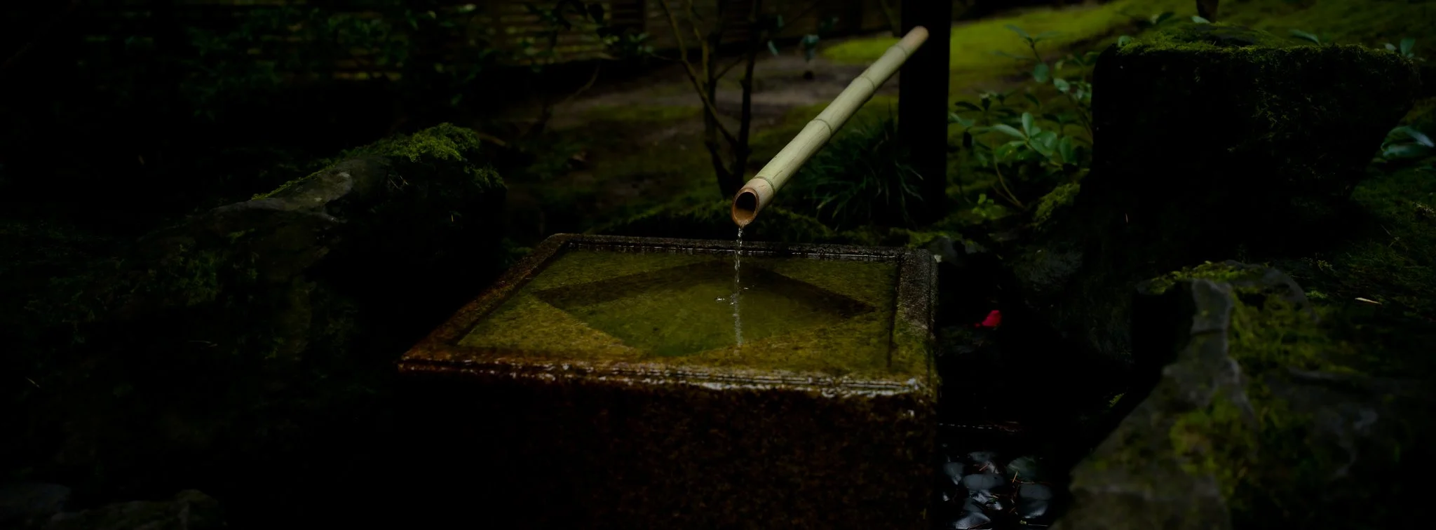 B0000727.jpg