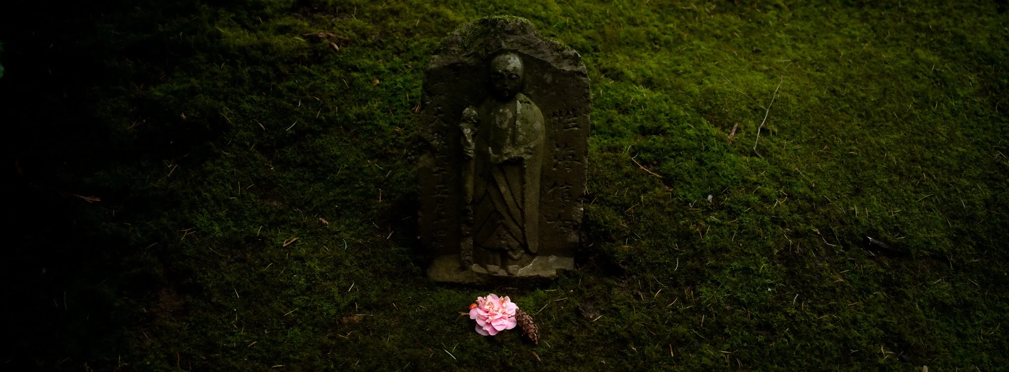 B0000725.jpg