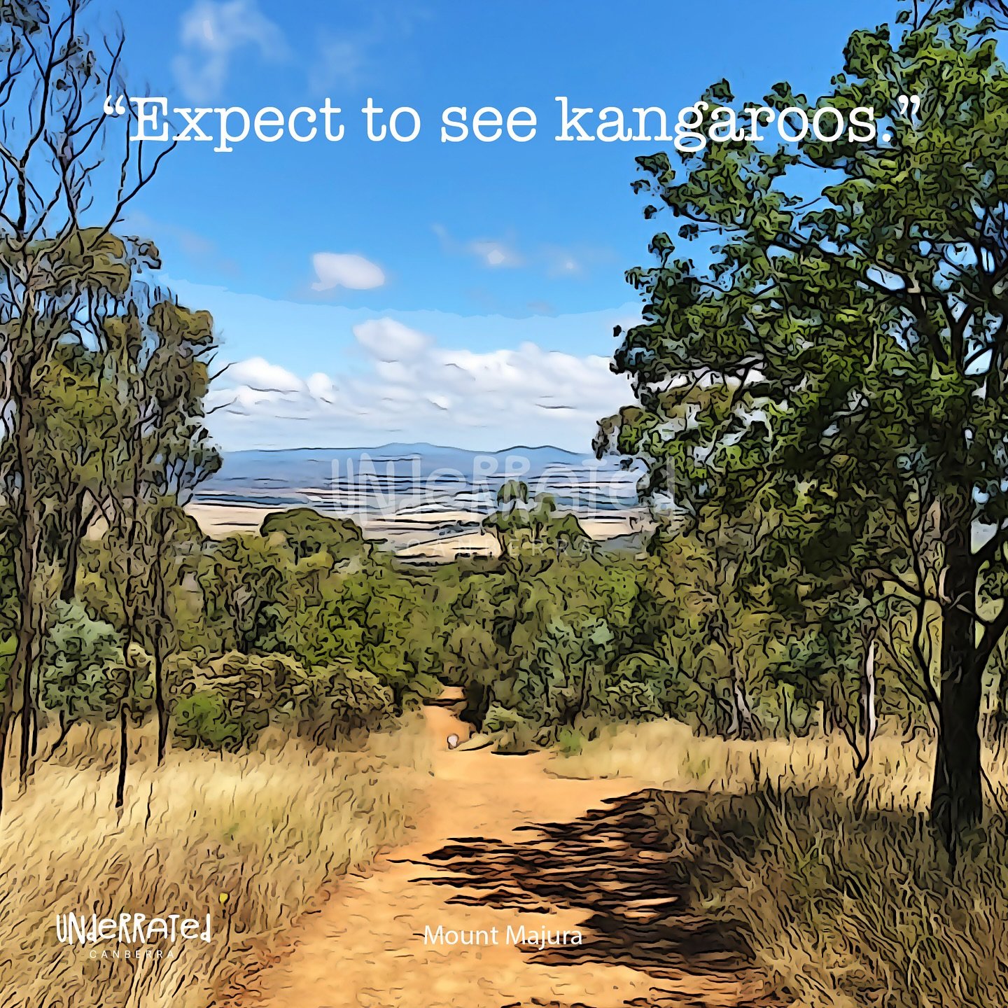 Mount Majura: &ldquo;Expect to see kangaroos.&rdquo; 

#canberragifts #canberralocalbusiness #cbrlocal #cbrfunny #cbr
#underratedcanberra #visitcanberra #outincanberra #hercanberra #thiscanberralife #canberra #HiddenGemsCBR #ExploreCBR #CanberraUncov