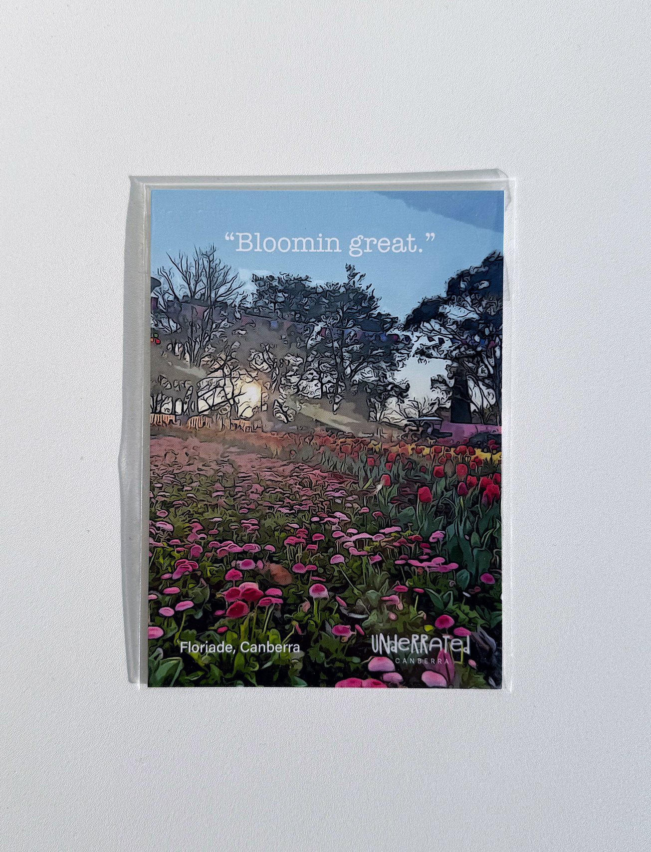"Floriade Is Bloomin Great" Post Card
