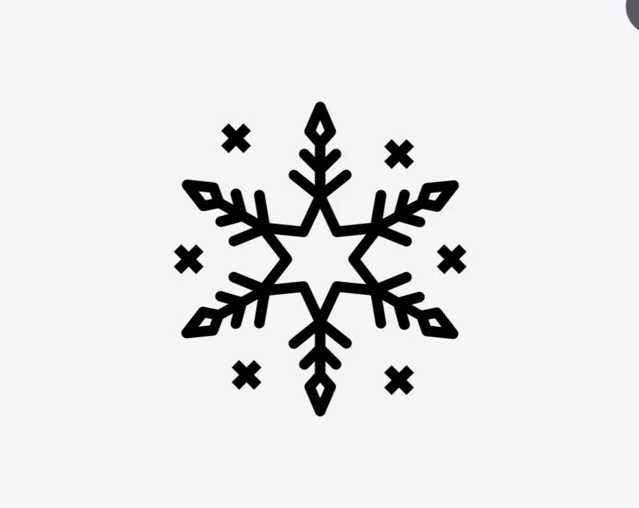 Screenshot 2024-06-21 at 12.12.30 PM.jpg