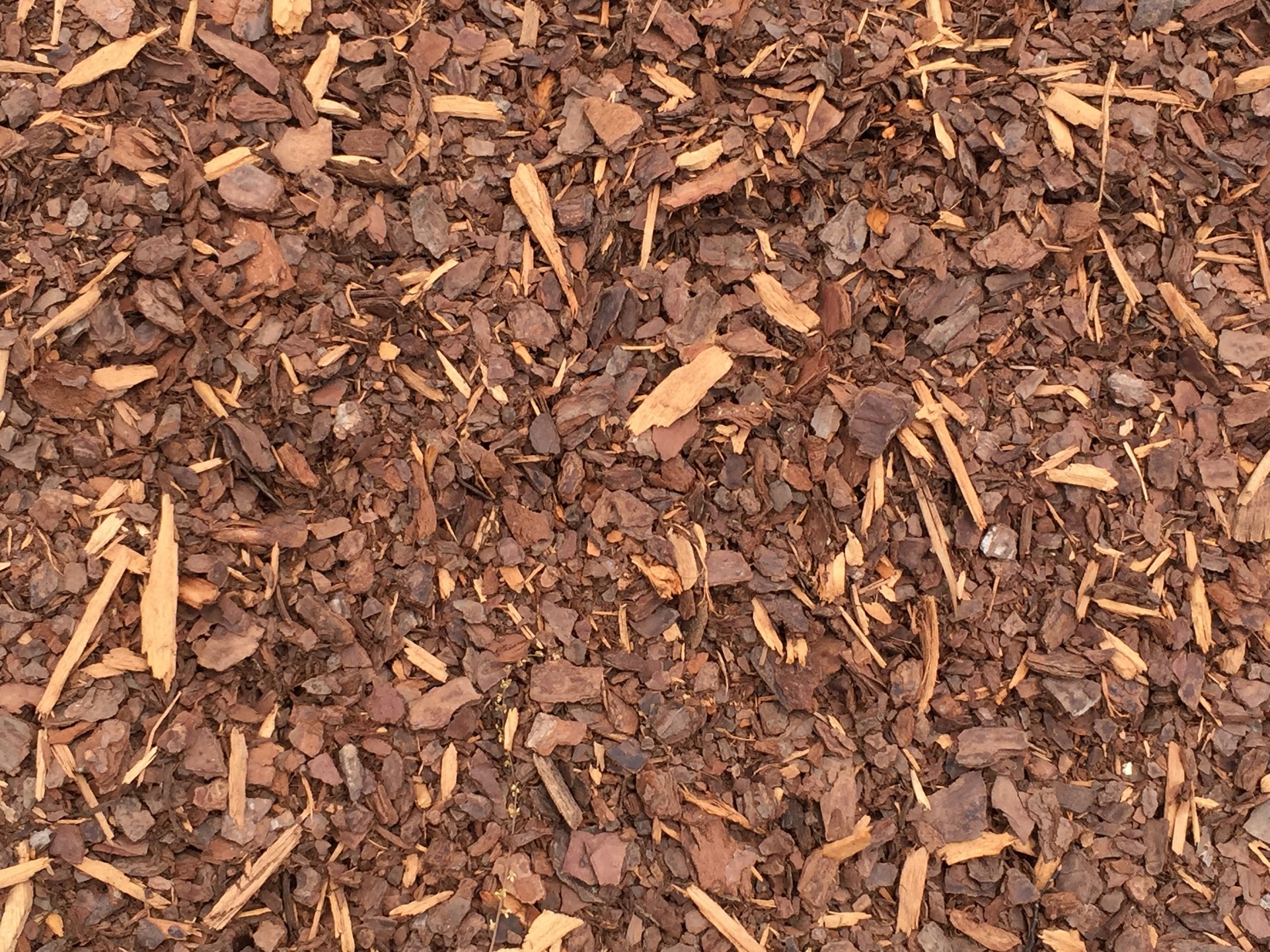 Natural Binding Pine Mulch