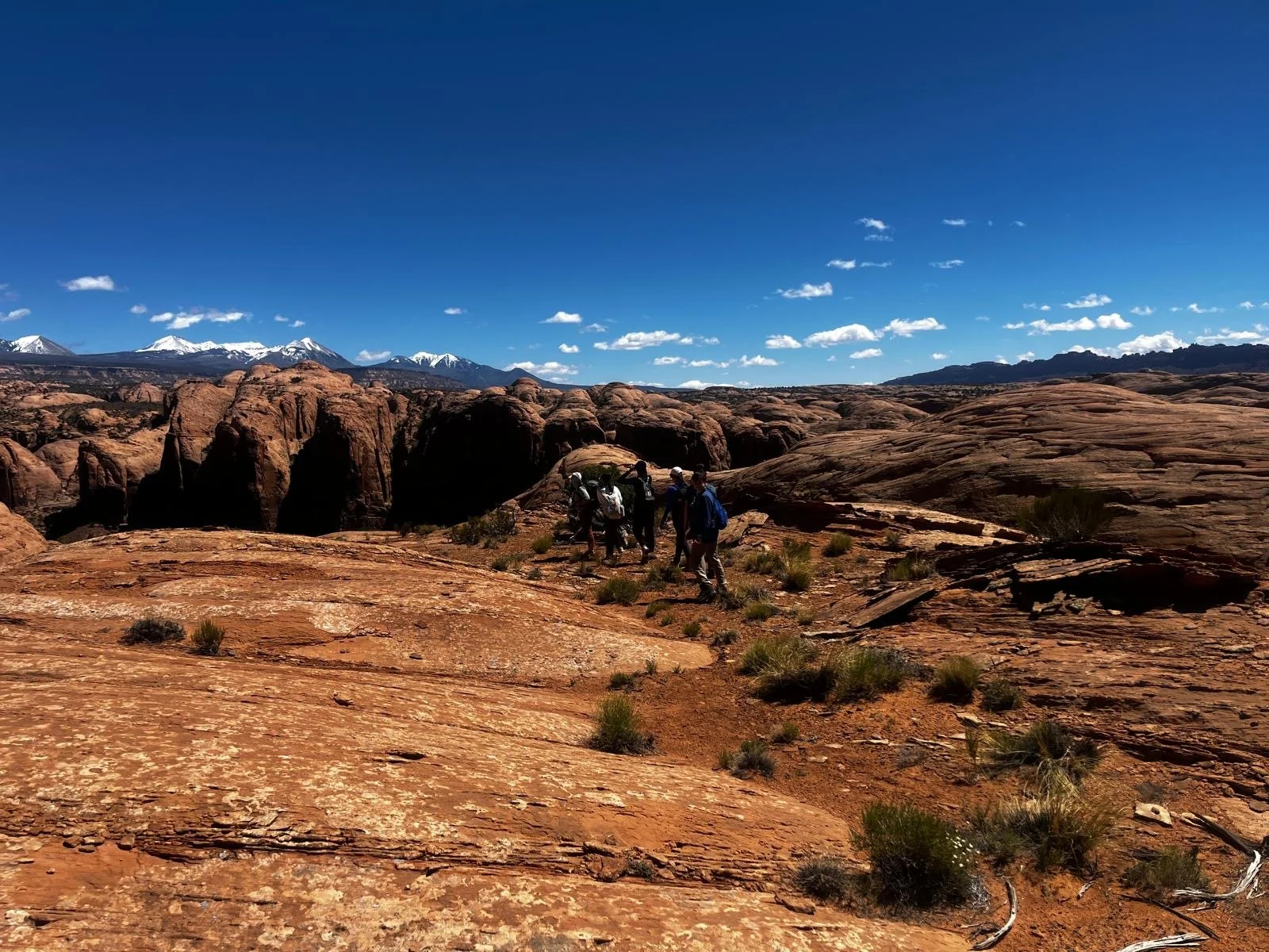 00bc5405-f30a-4b99-91ec-eeadae194f23.JPG