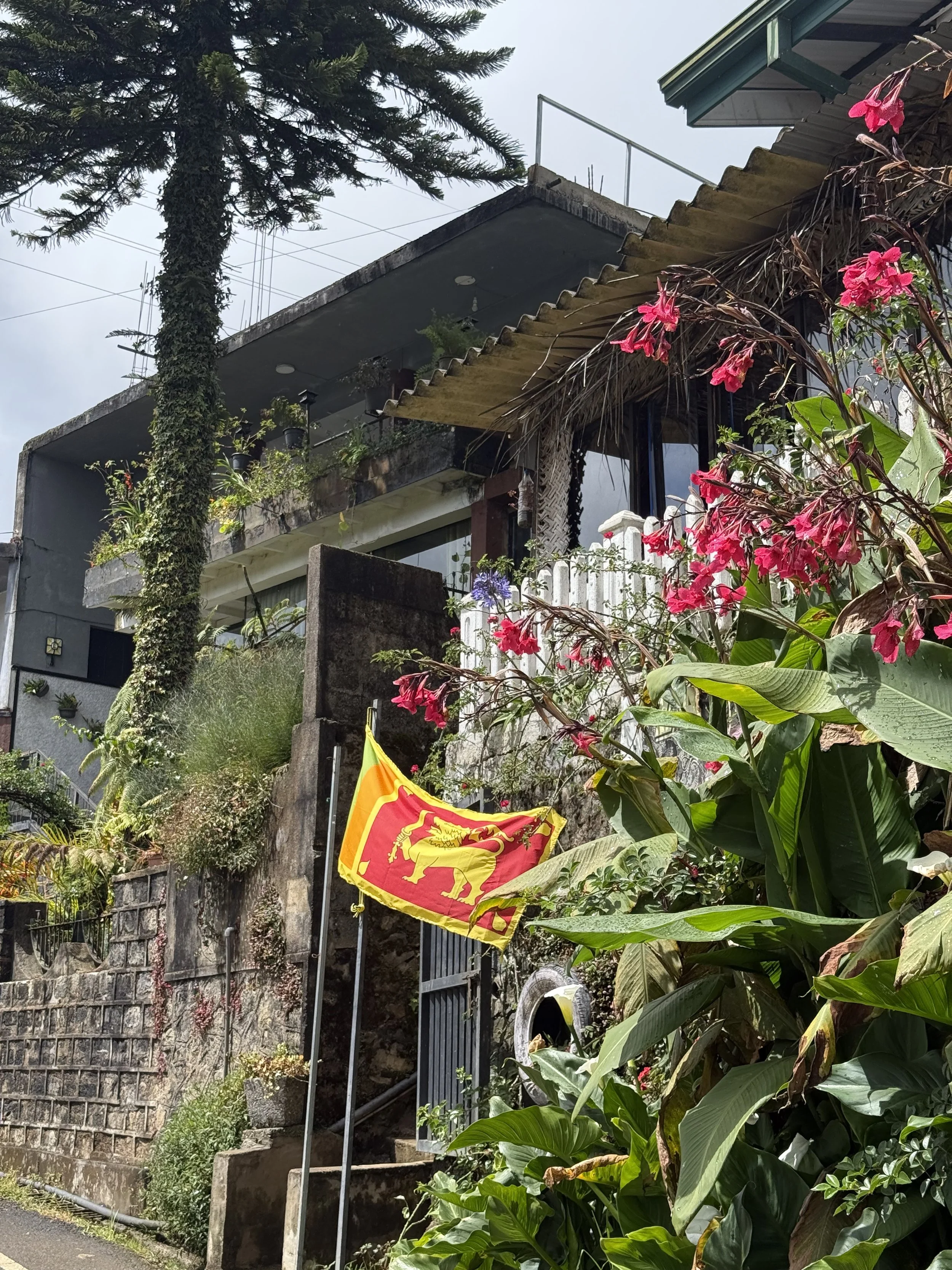 2 Weeks in Sri Lanka on a Backpackers Budget