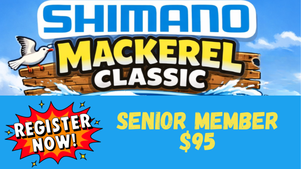 Shimano Mackerel Classic - Senior Member