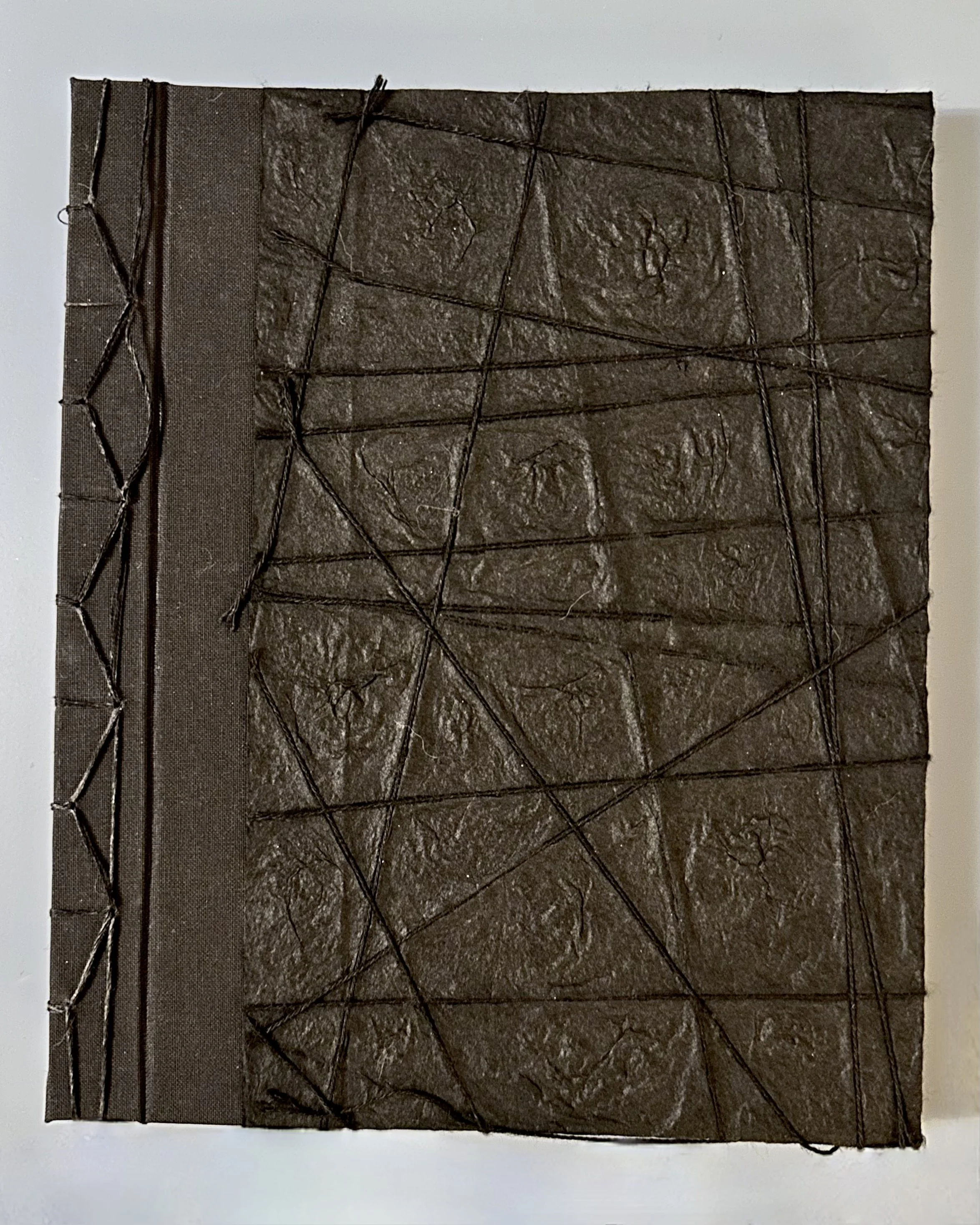 APelletier Book Cover.jpeg