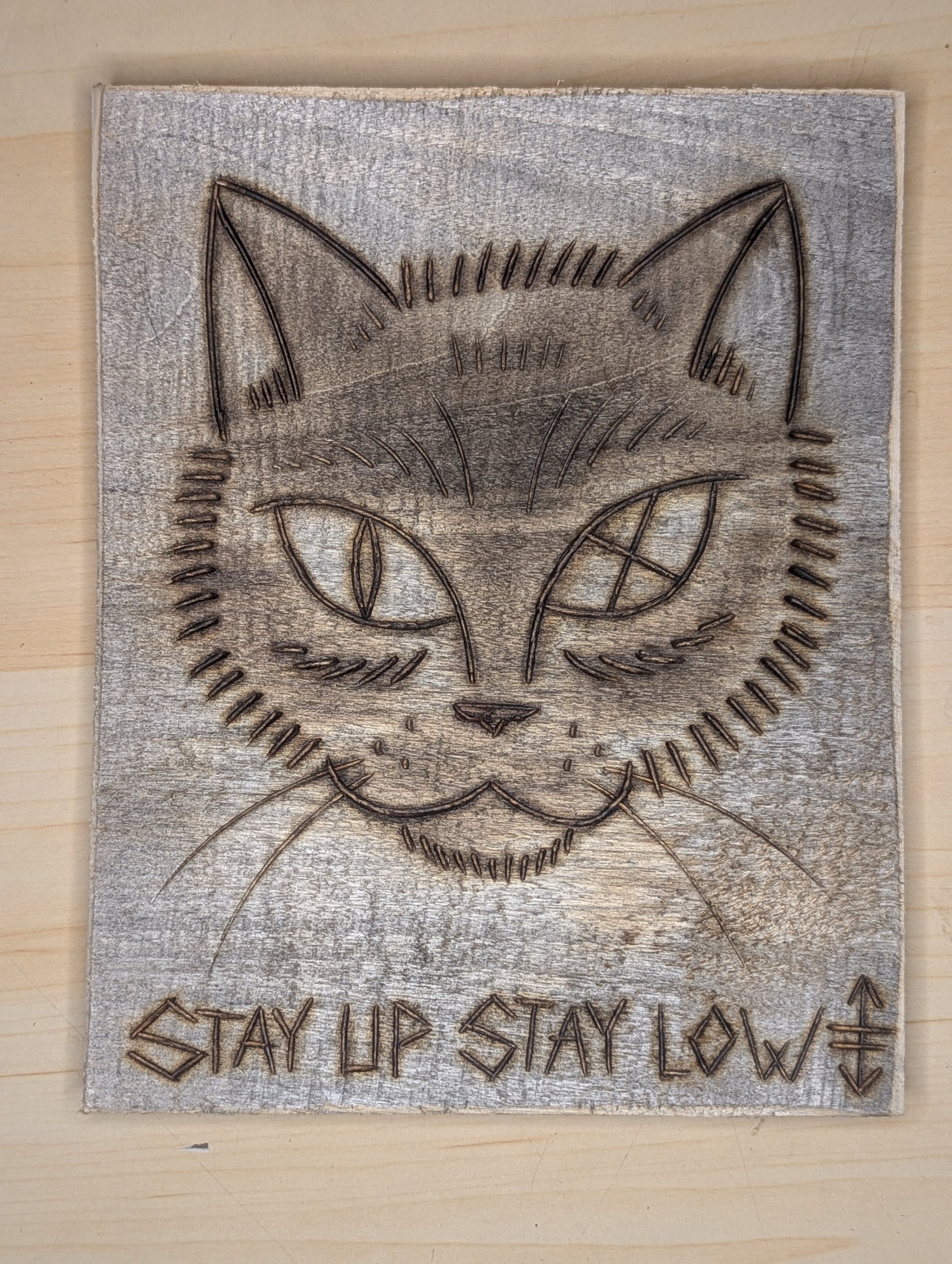 Black Cat Face