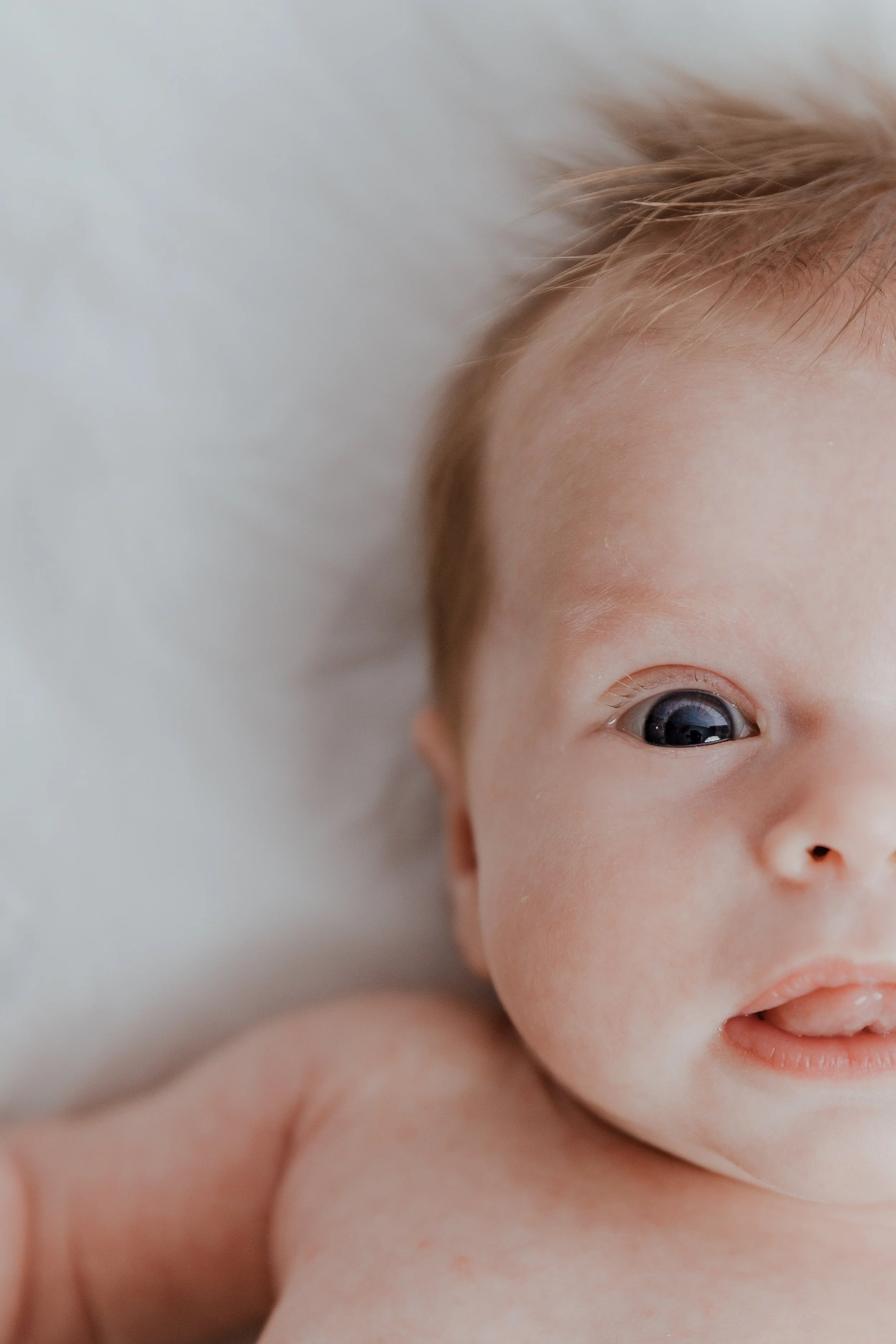 WSCP_Goetz_Newborn26_26-2.jpg
