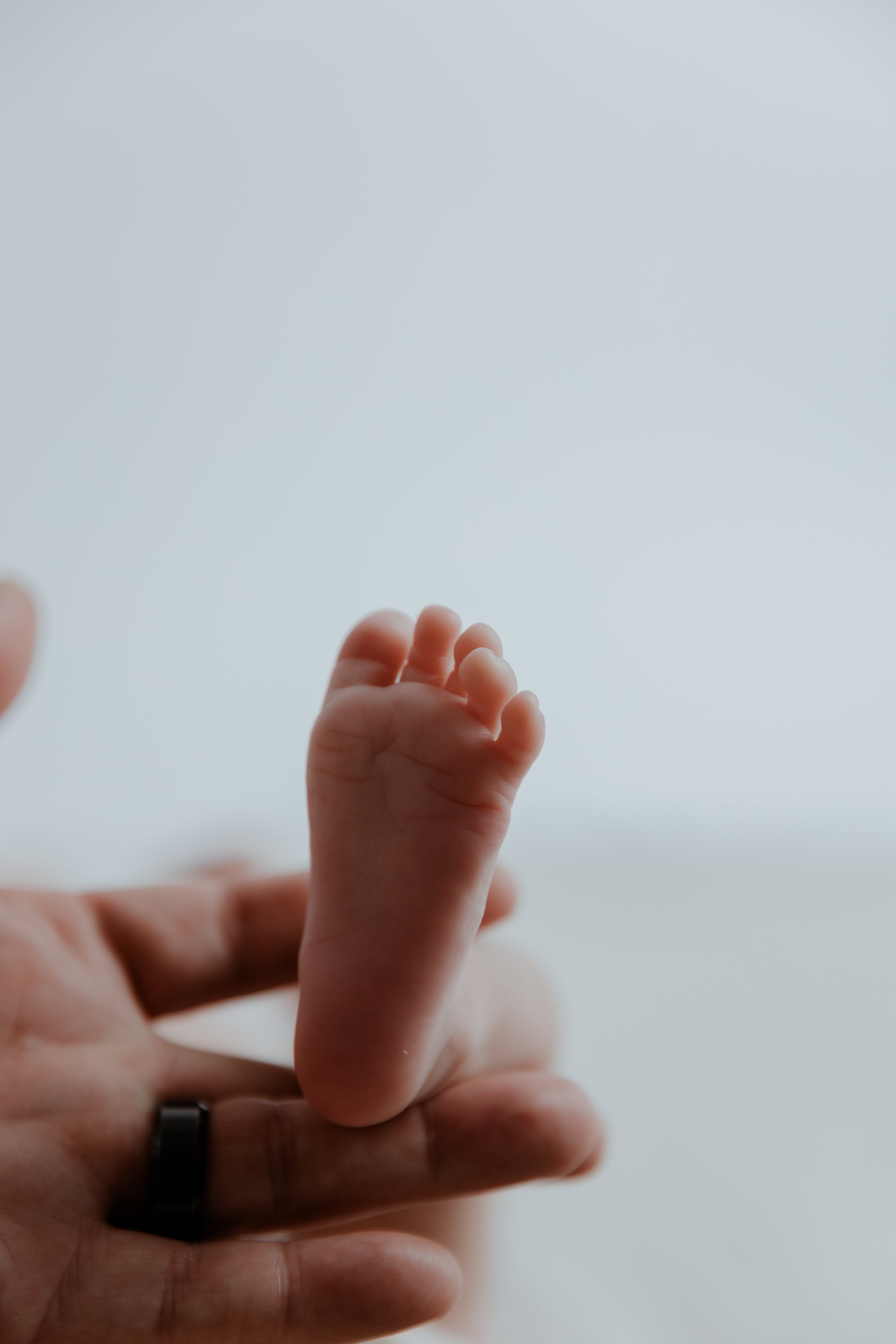 WSCP_Goetz_Newborn26_29.jpg