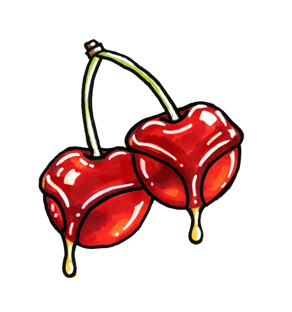 Fruit Illustration Series  