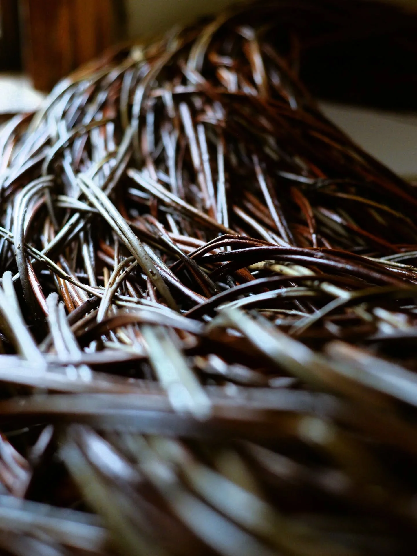 Couldn't resist sharing how the light hits this willow sculpture in the morning 💖

&bull;
&bull;
&bull;

#willowweaving #sculpture #willowsculpture