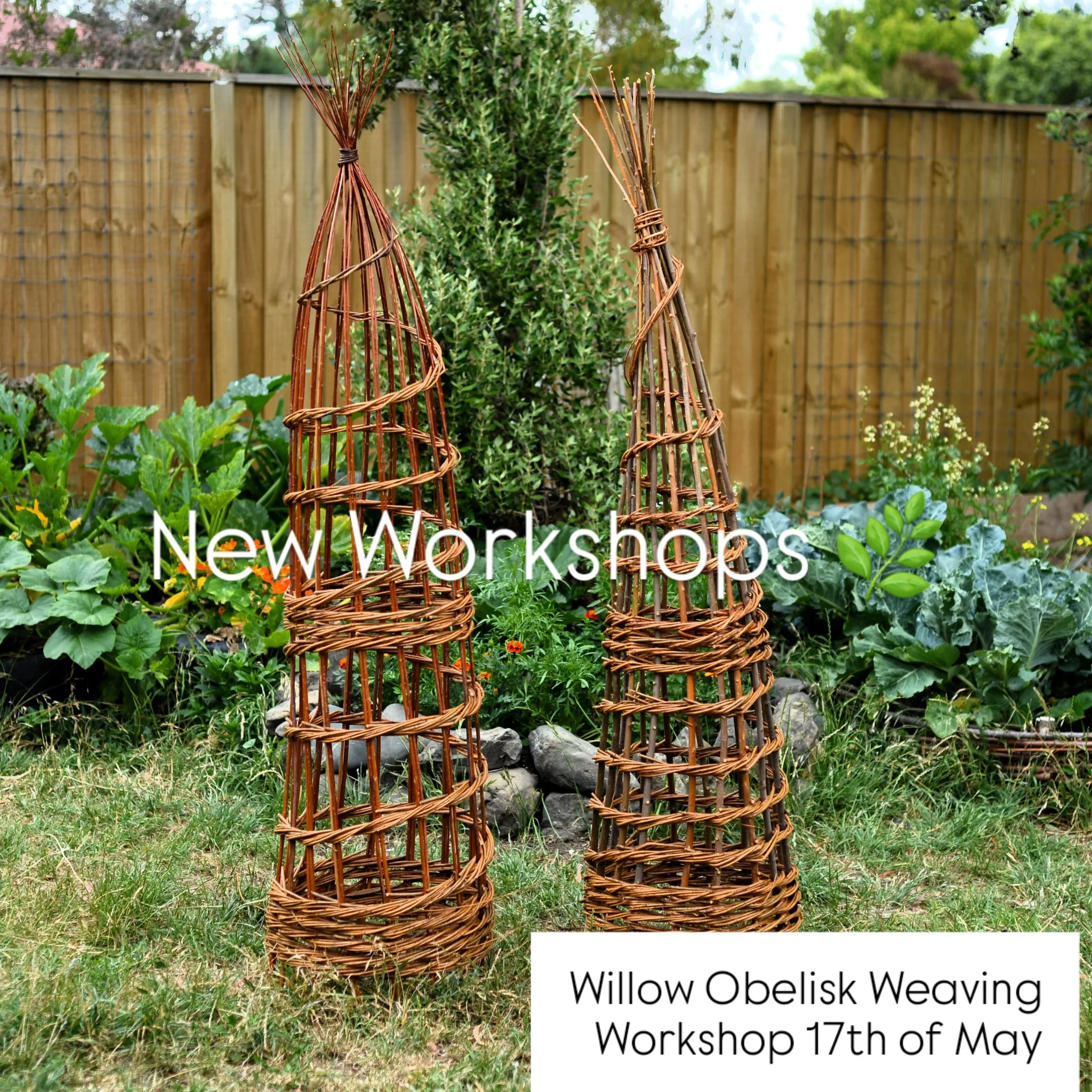 New workshops are now available to book through my website 🌿

Some of you may notice that I am now offering weaving workshops in willow. This has been a long time coming! My dream has always been to source my weaving materials sustainably and I am d