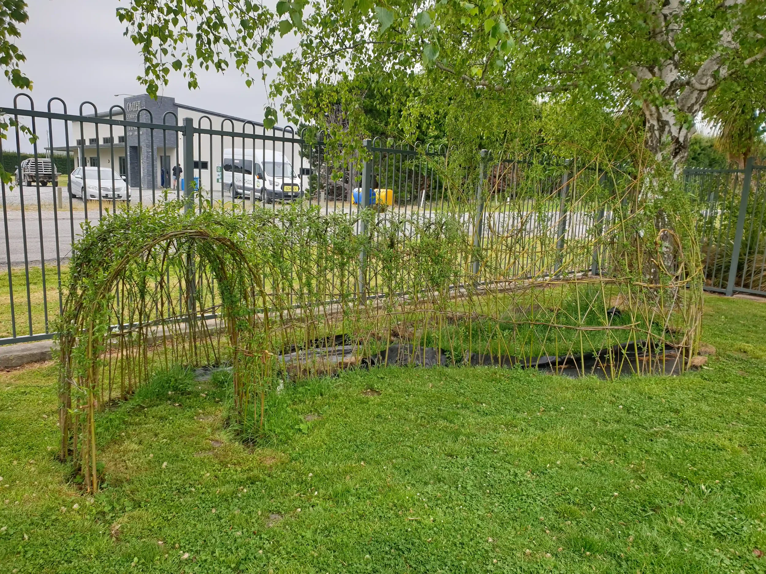 Weaving a Living Willow Play Hut and Tunnel