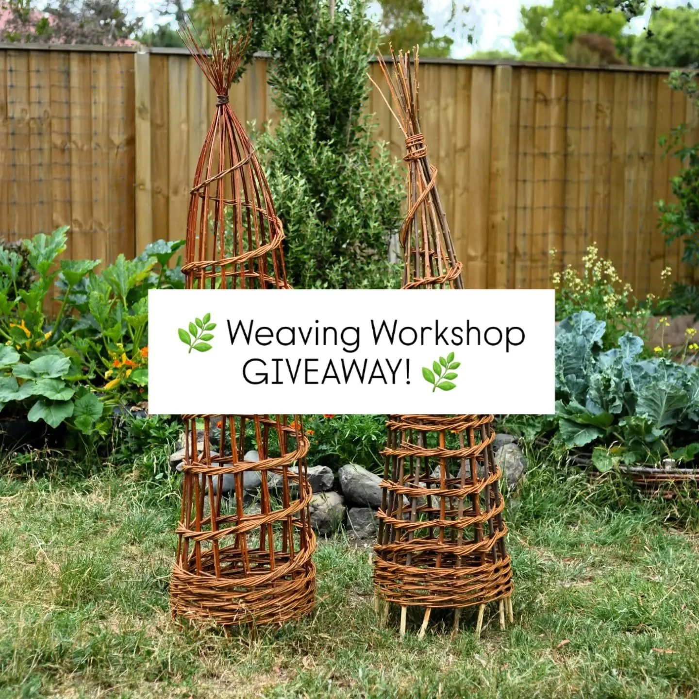 🌿 My first weaving workshop GIVEAWAY! 🌿

This November I am teaching a weaving workshop at @hurunuigardenfestival making willow obelisks for your garden.

Want to learn how to make one on Saturday 31st of October?

I'm offering one lucky winner a f