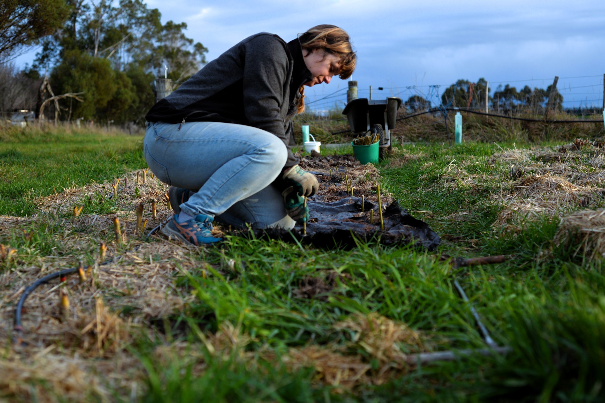 Farm updates, new workshops and more..