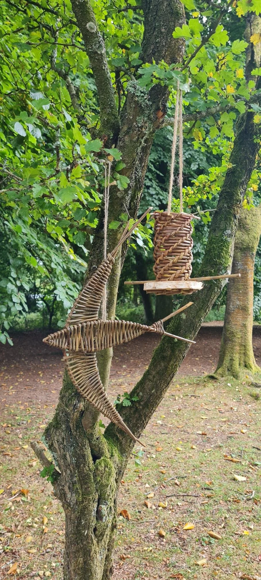 Two handmade woven wicker bird toys hanging from a tree branch in a forested area.