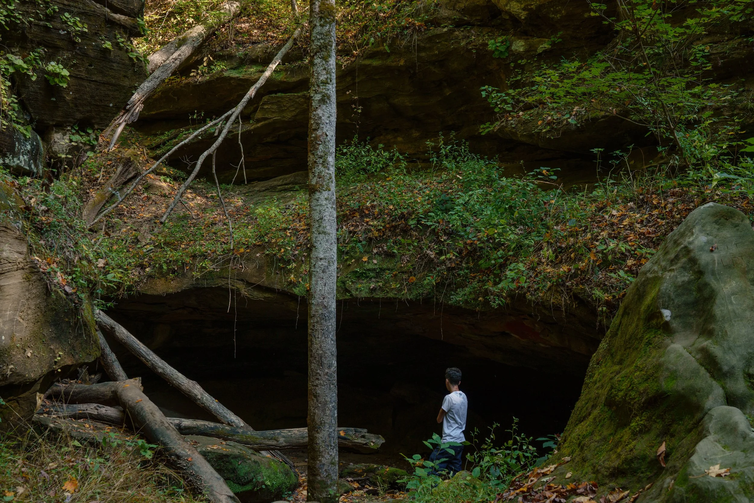 little brother on the outskirts of a cave.
