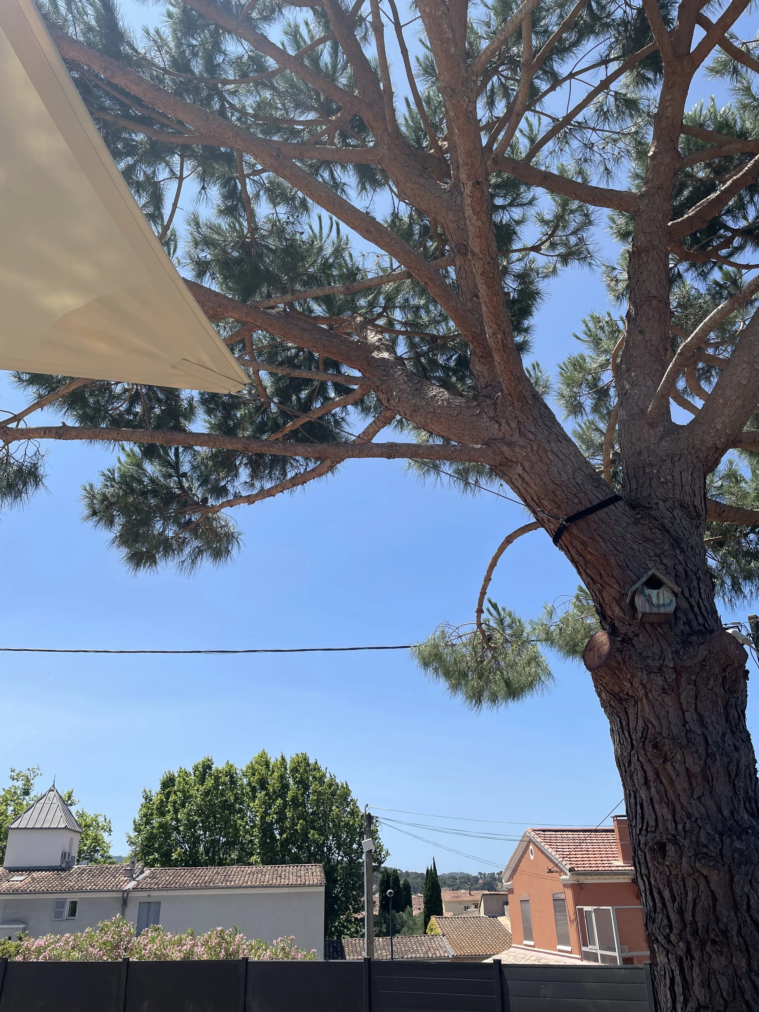 Oasis Ombrage -  Voile d'ombrage fixation arbre sur mesure - Six-Fours les Plages