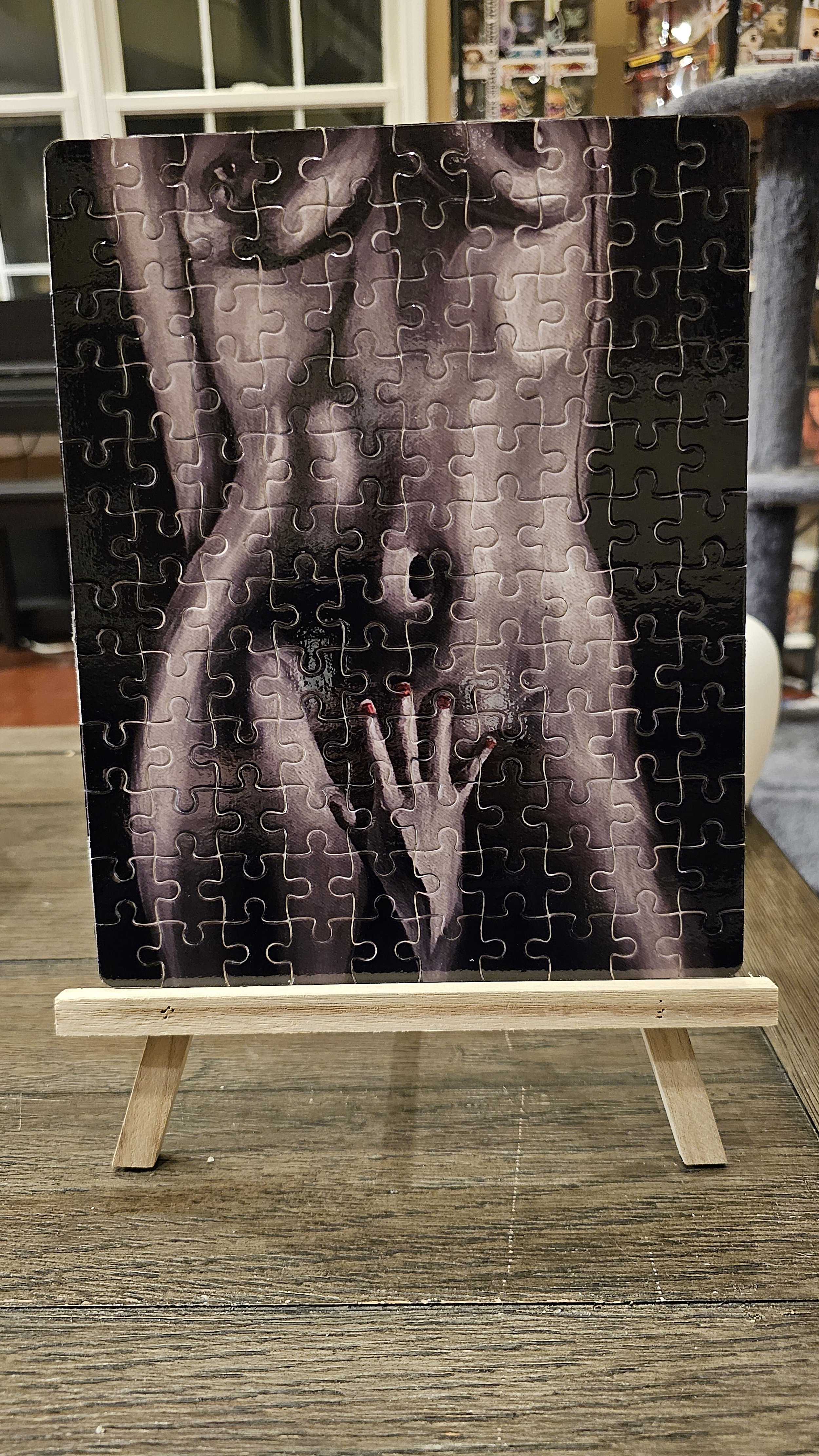 Modesty-Puzzle-Main.jpg