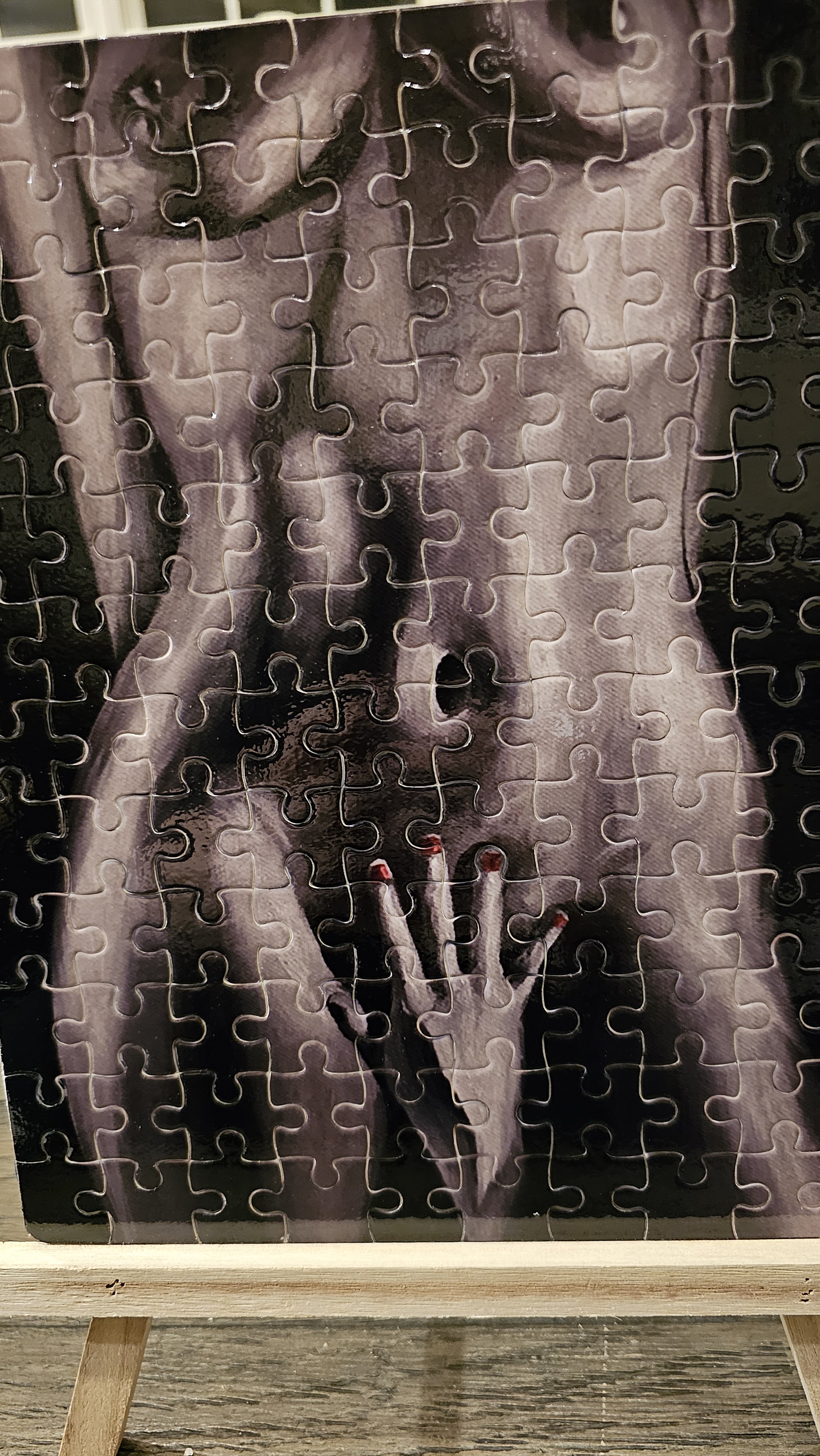 Modesty-Puzzle-Closeup.jpg