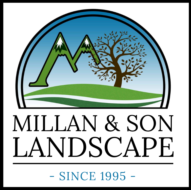 Millan &amp; Son Landscape