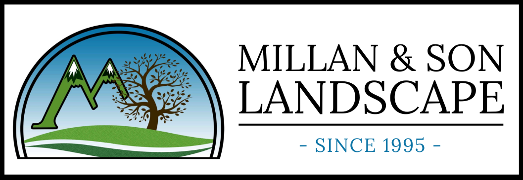 Millan &amp; Son Landscape