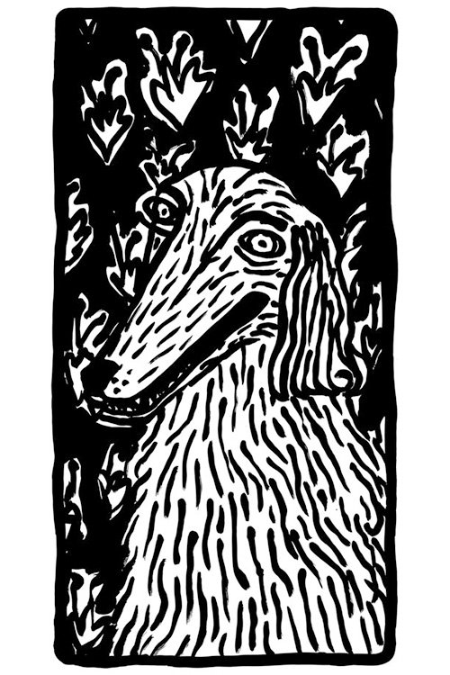 Chien
