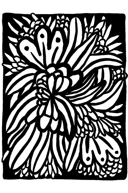 2_3-Plante.jpg