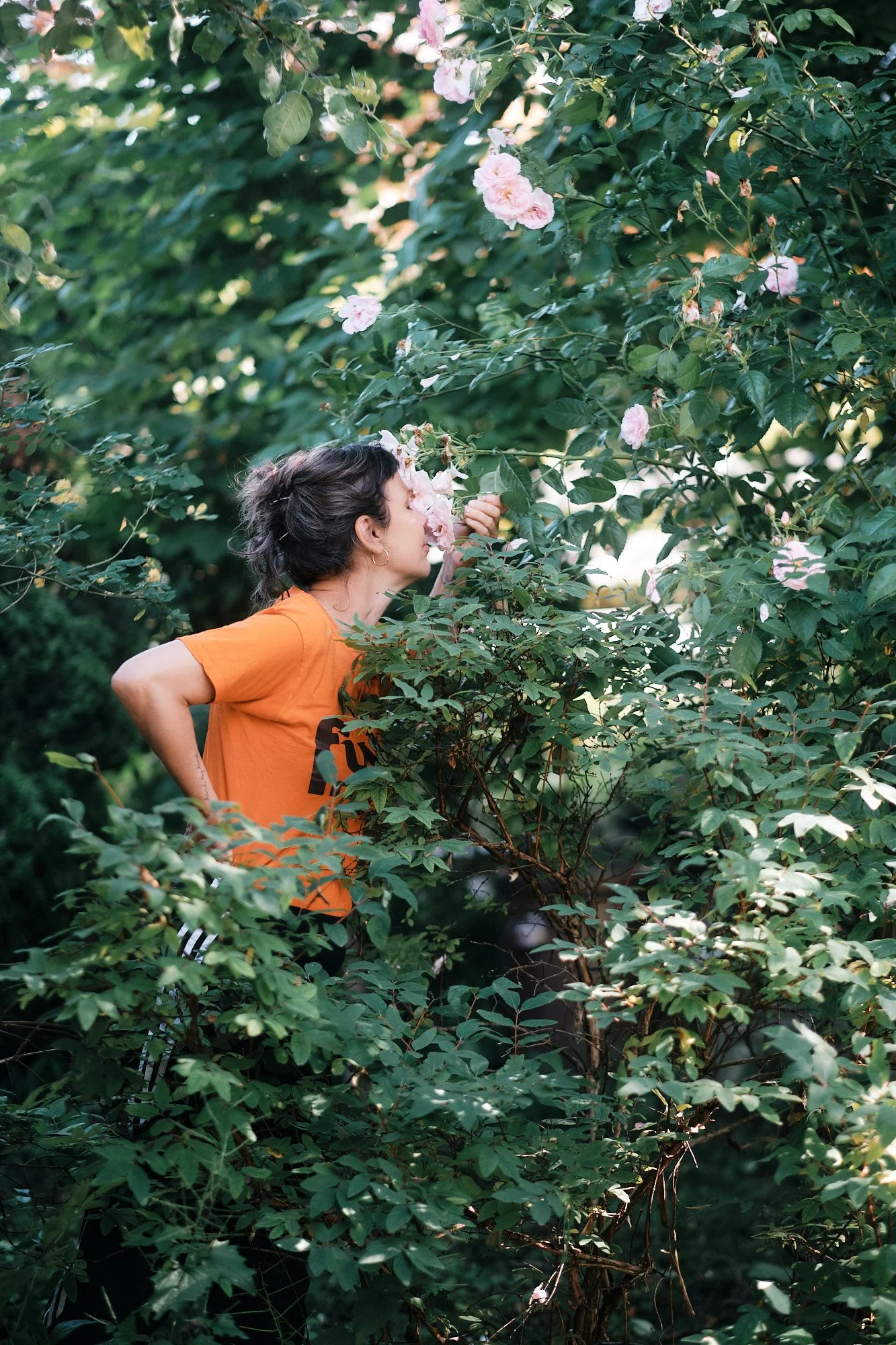 Eine Frau in einem orangefarbenen T-Shirt steht in einem dichten Busch mit pinken Blumen und riecht an den Blüten im Garten.