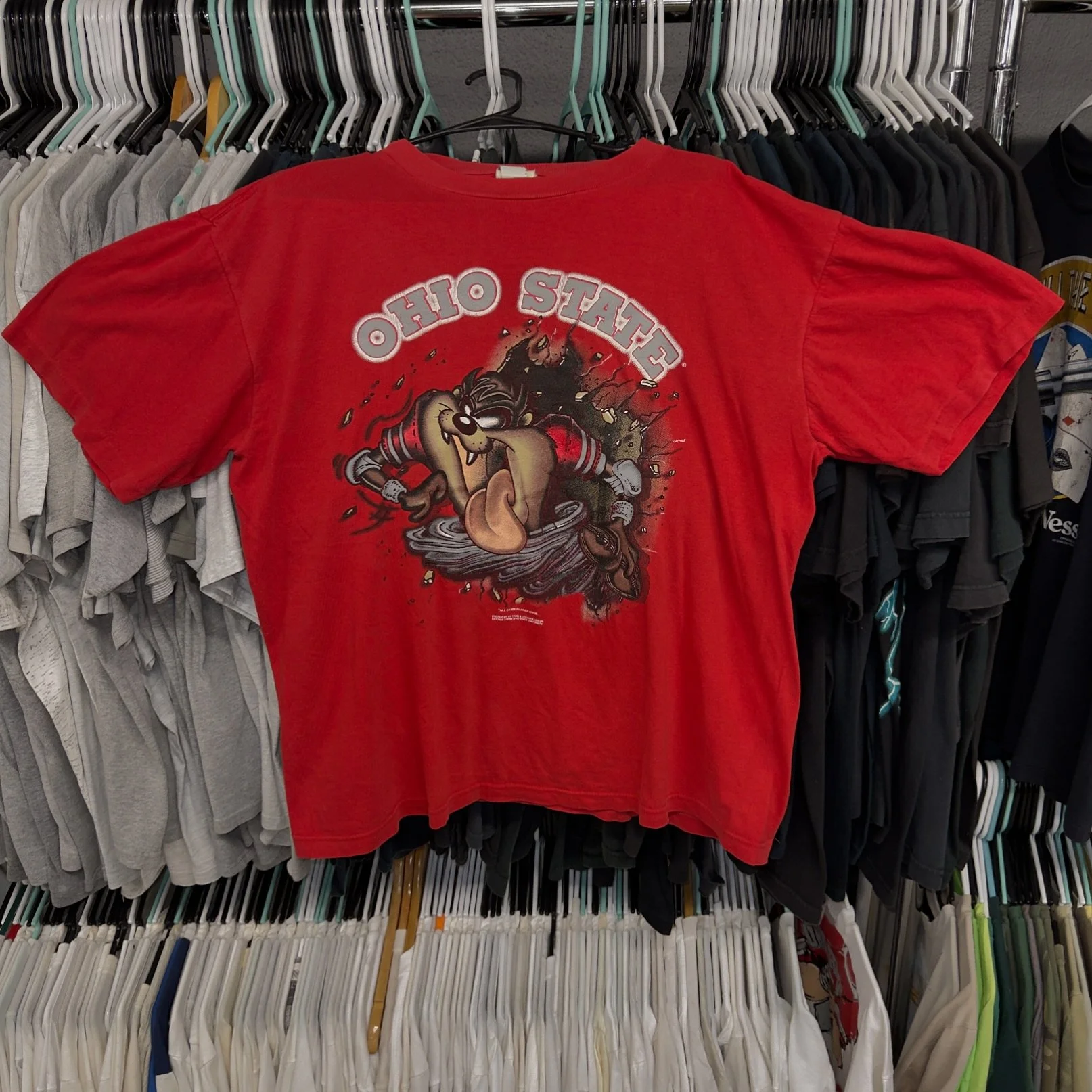 Vintage Taz Ohio State T Shirt Size XL 

Toss me a DM if Interested