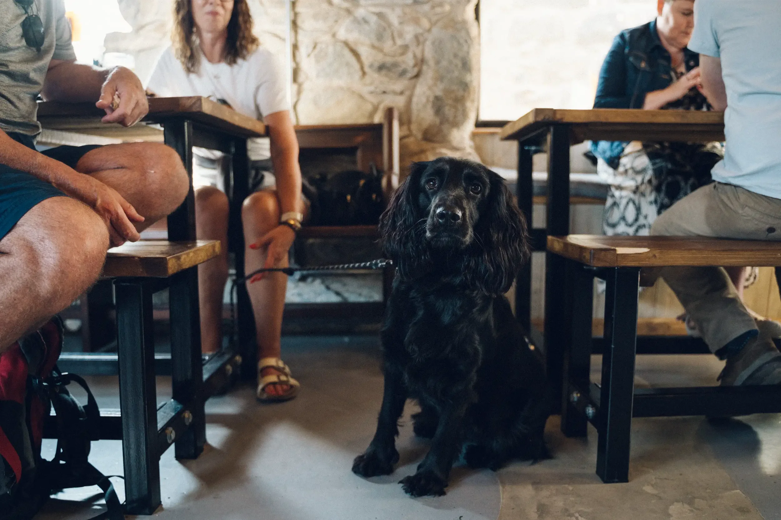 Street Food & Craft Beer in Criccieth – Y Maes Hub - Dog friendly venue.webp