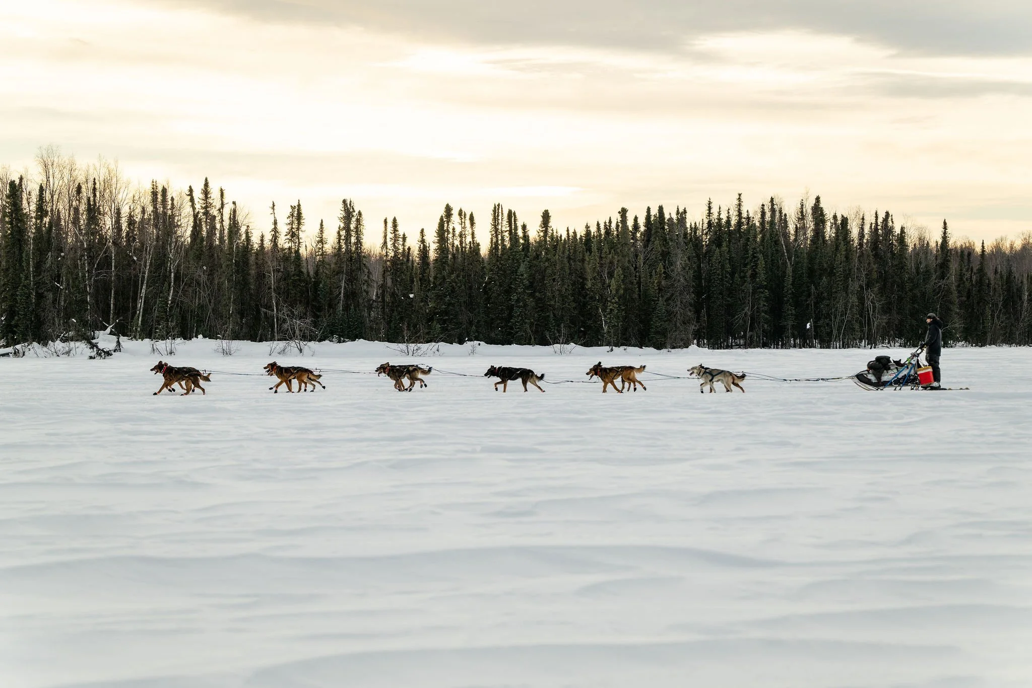 ©WhitneyMcLaren_2026_SuDog_Finish-8263.jpg