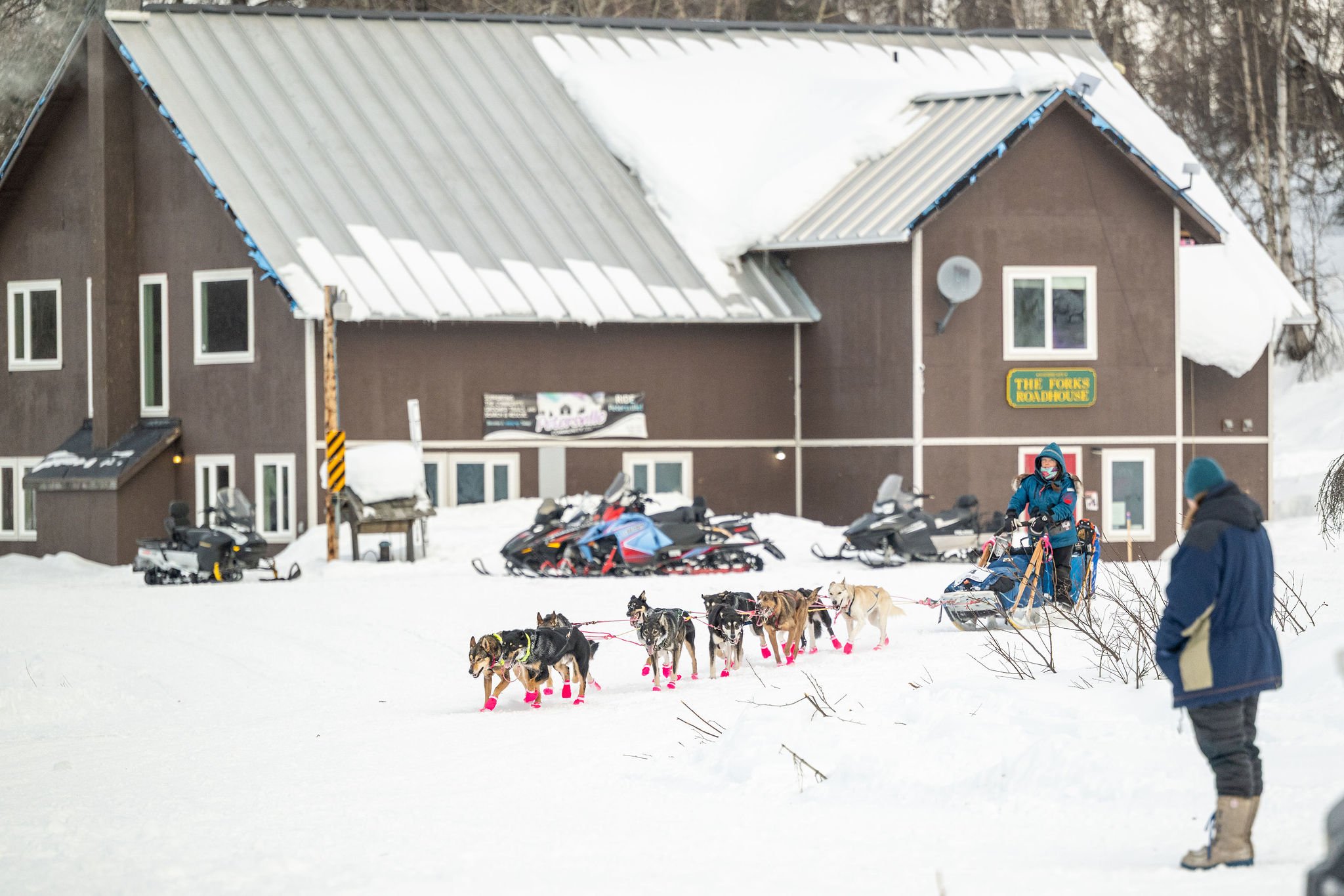 ©WhitneyMcLaren_2026_SuDog_forks-8014.jpg