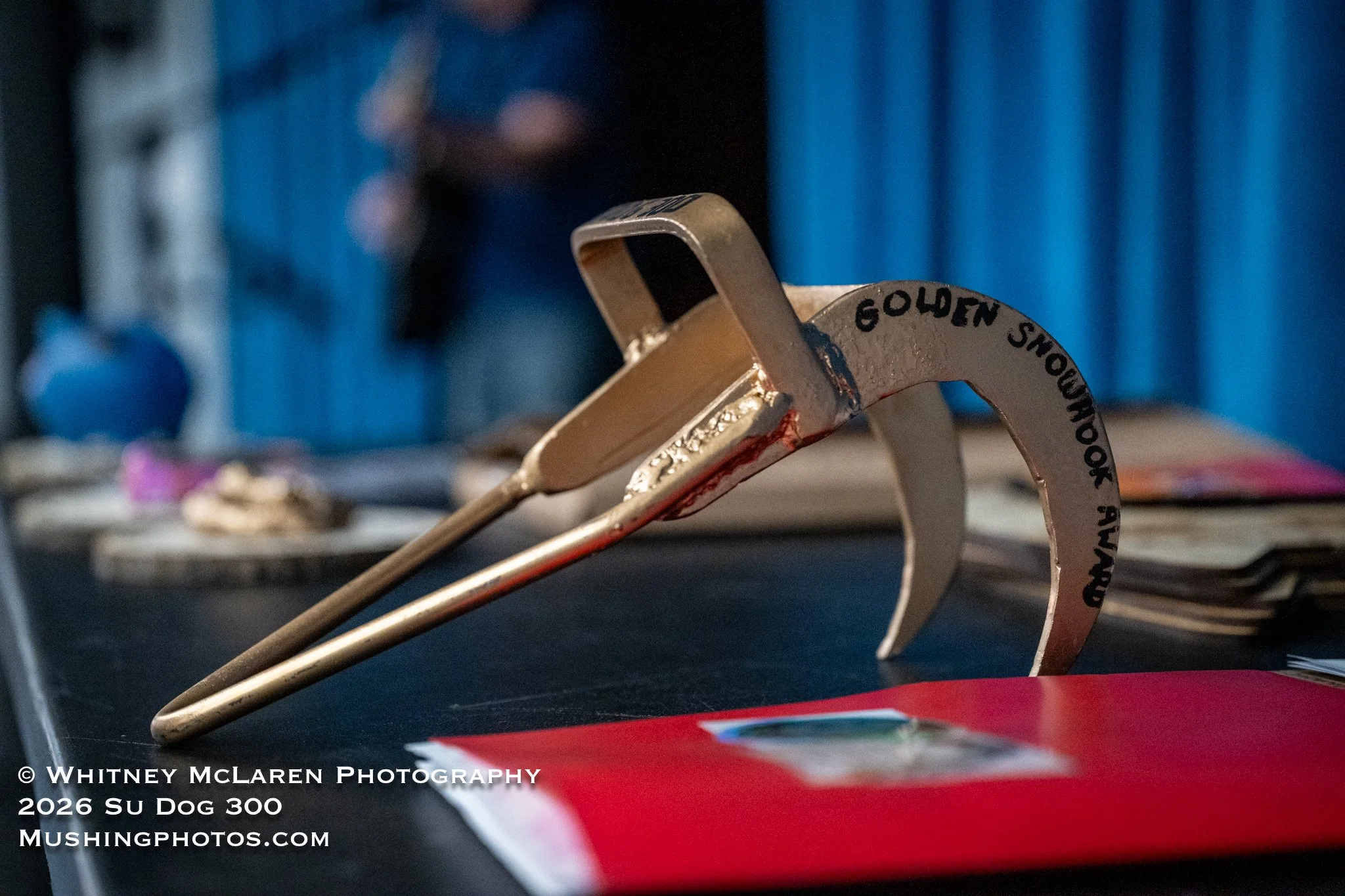 Golden Snowhook Award - for best wipeout!