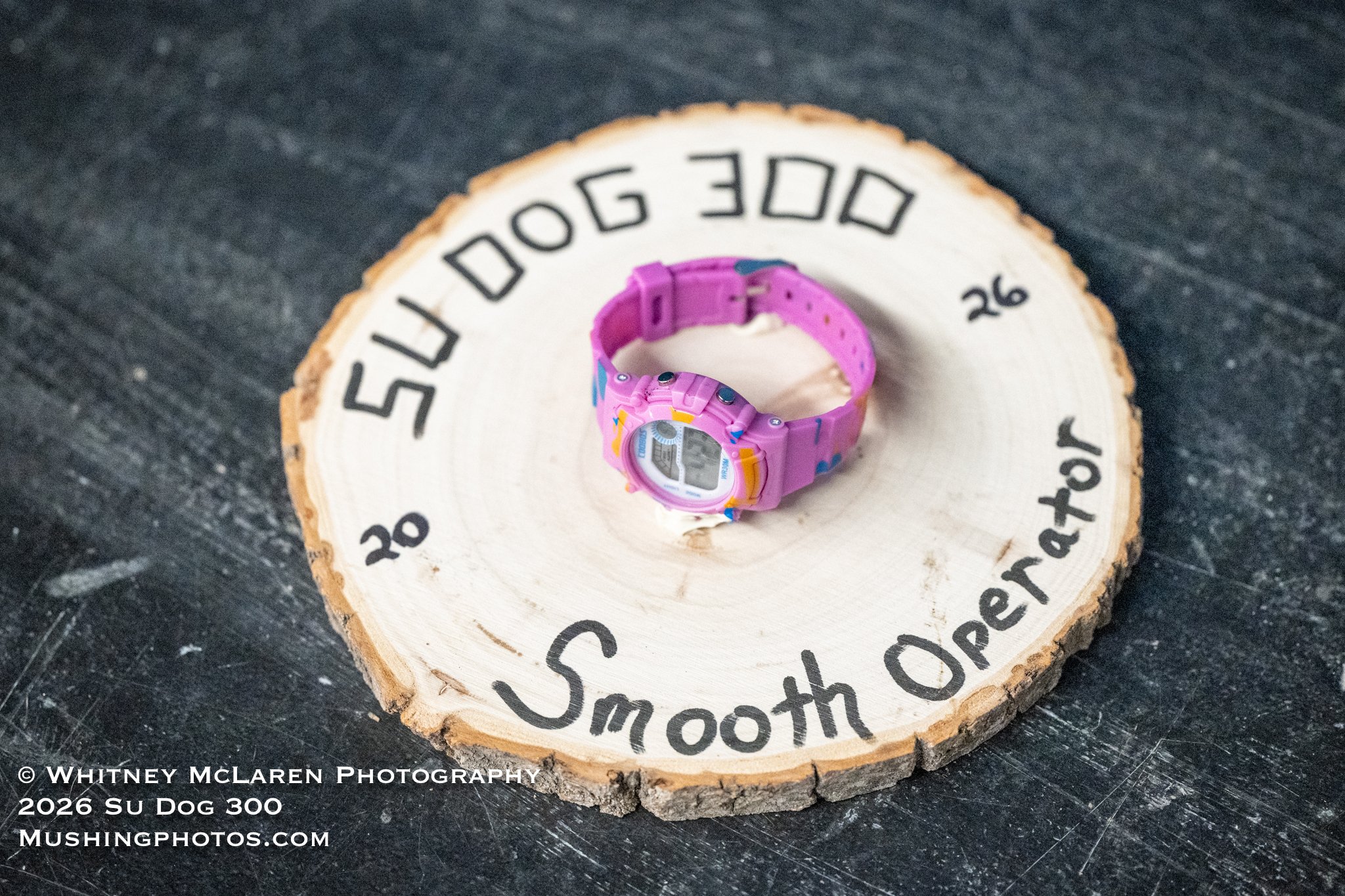 Smooth Operator - for the musher with the smoothest checkpoint routine