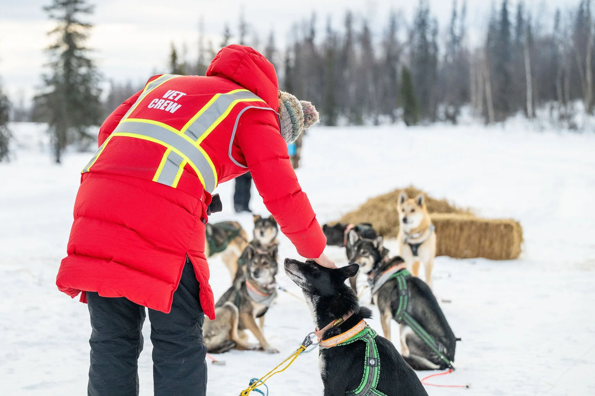 ©WhitneyMcLaren_2026_SuDog_forks-7975.jpg