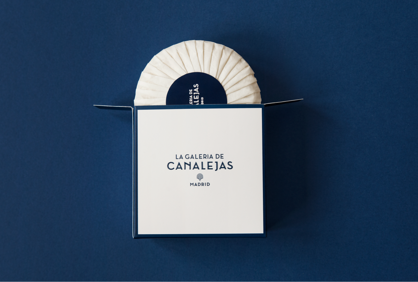 Galeria_behance-20.png
