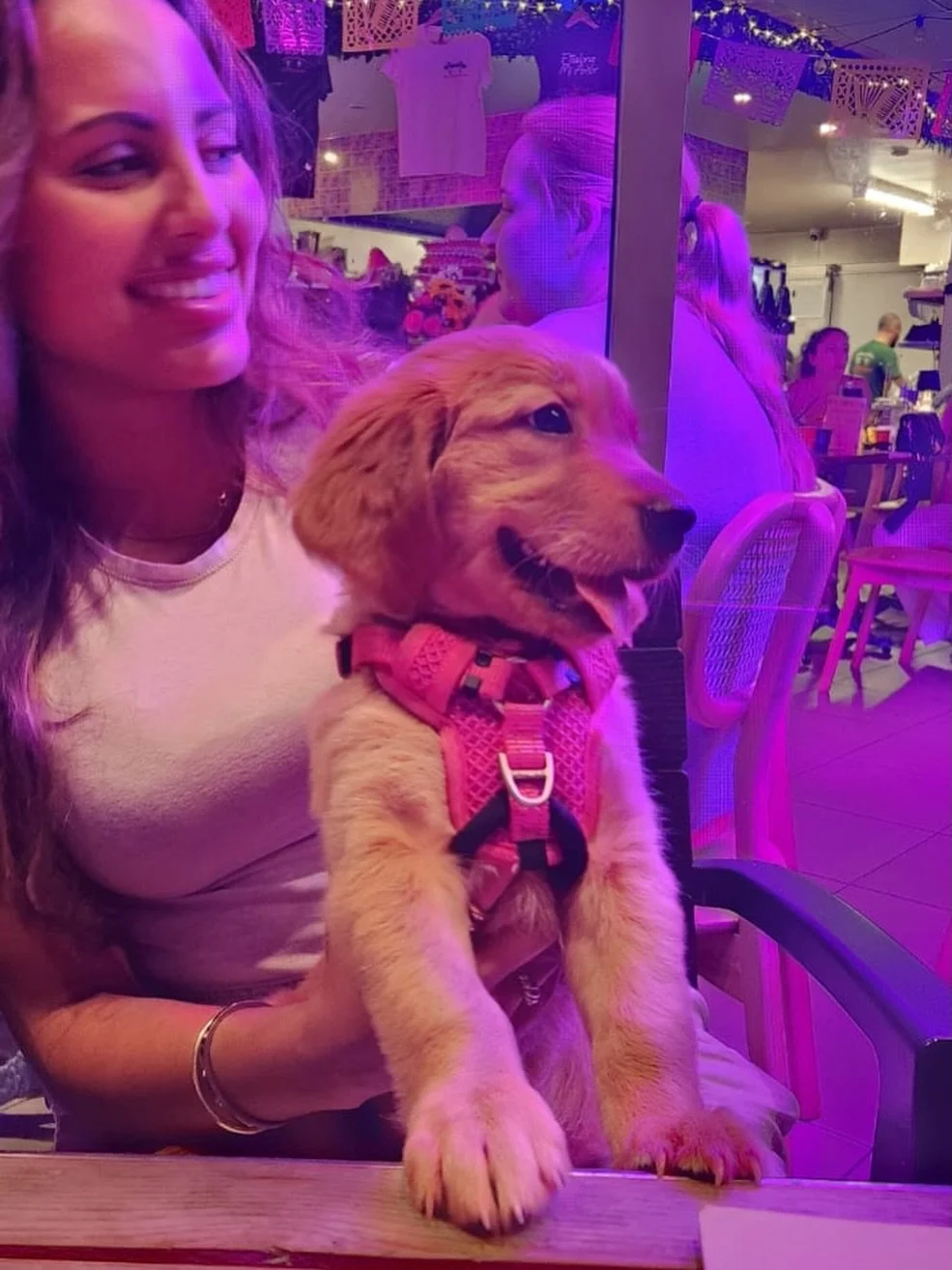 One of our fav customers - Biscoff 🐶🥰