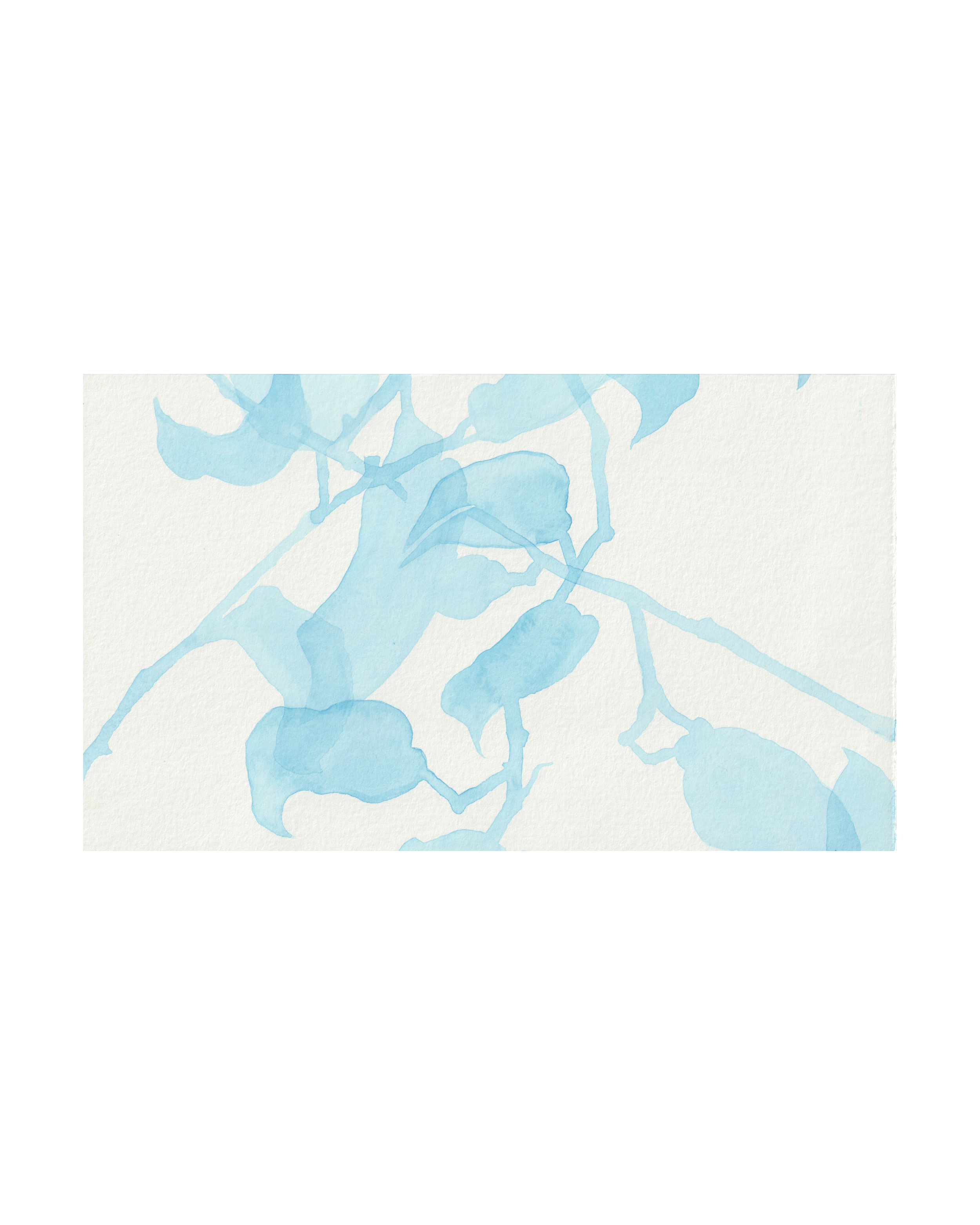 tangled embrace from the towards the sun collection unframed for website transparent.png