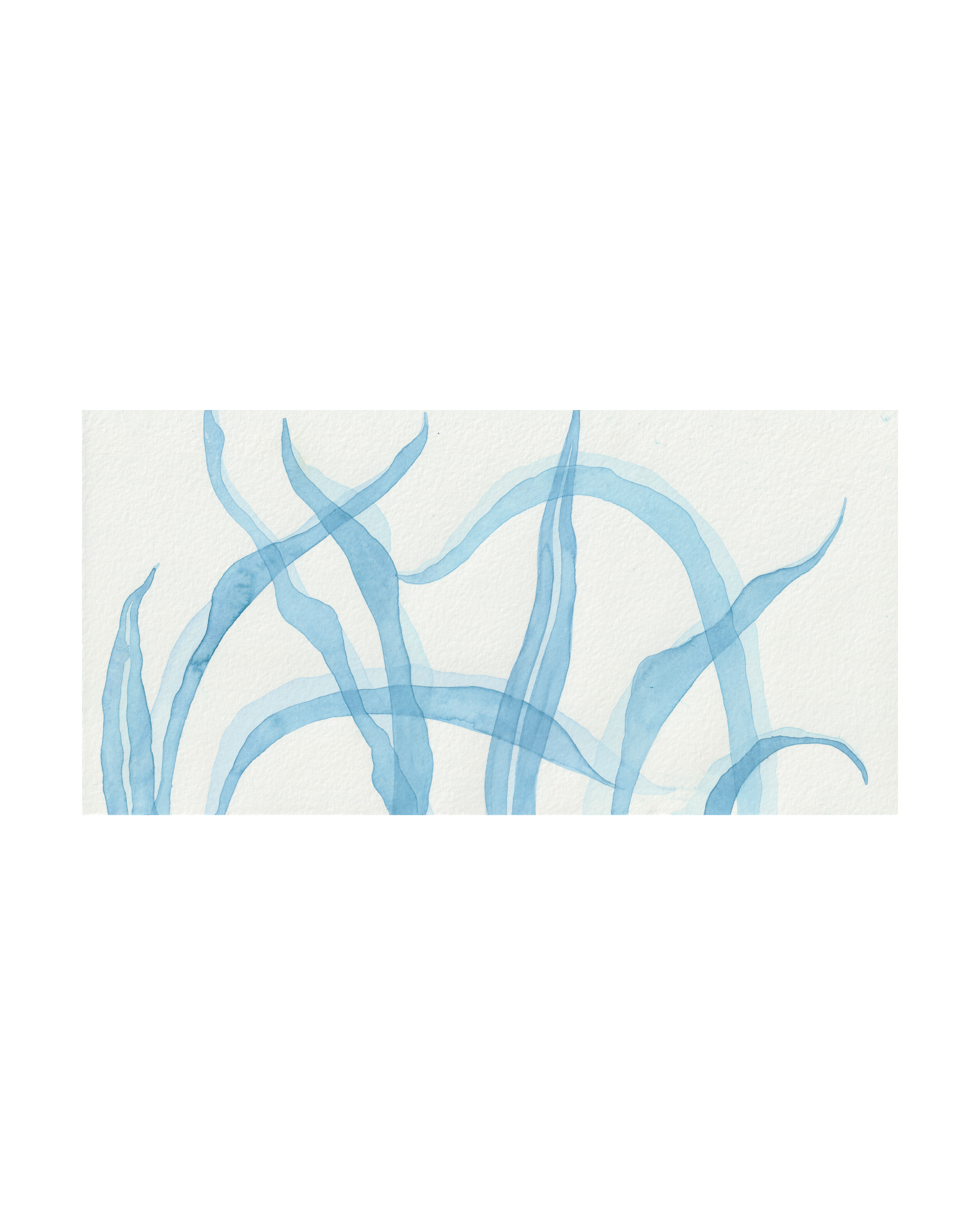 daydream from the towards the sun collection unframed for website transparent.png