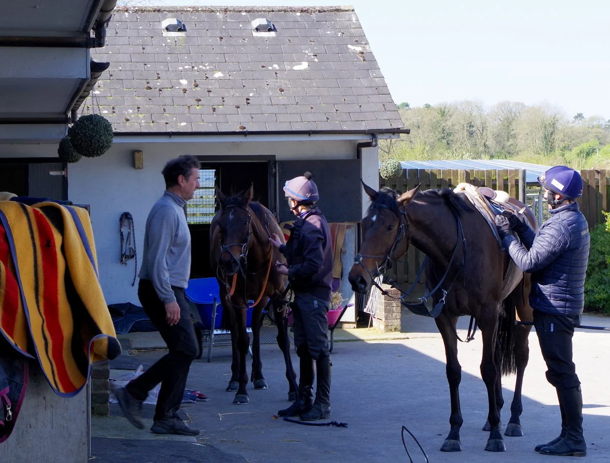 Gary Brown racehorse trainer of G Brown Racing at Badgerstown stables
