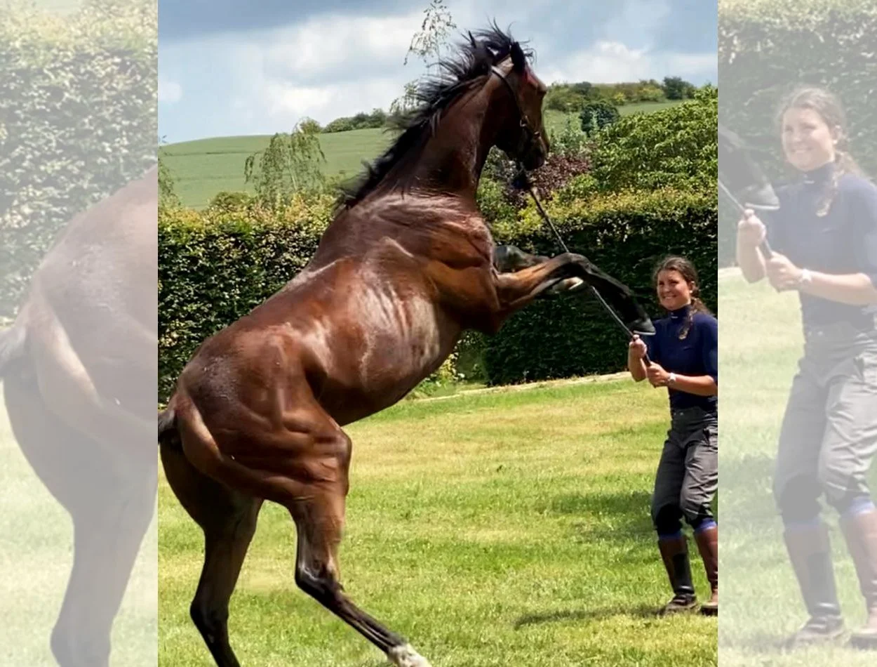 Isabell Ryder racehorse trainer and jockey of G Brown Racing at Badgerstown stables