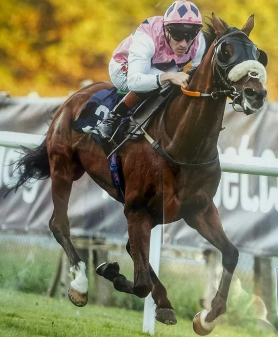 Graffiti race horse winning at Brighton ridden by Finley Marsh