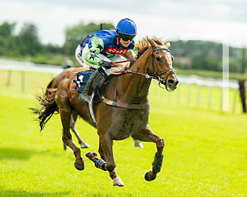 Easter Icon race horse winning at Fontwell racecourse ridden by Isabella Ryder